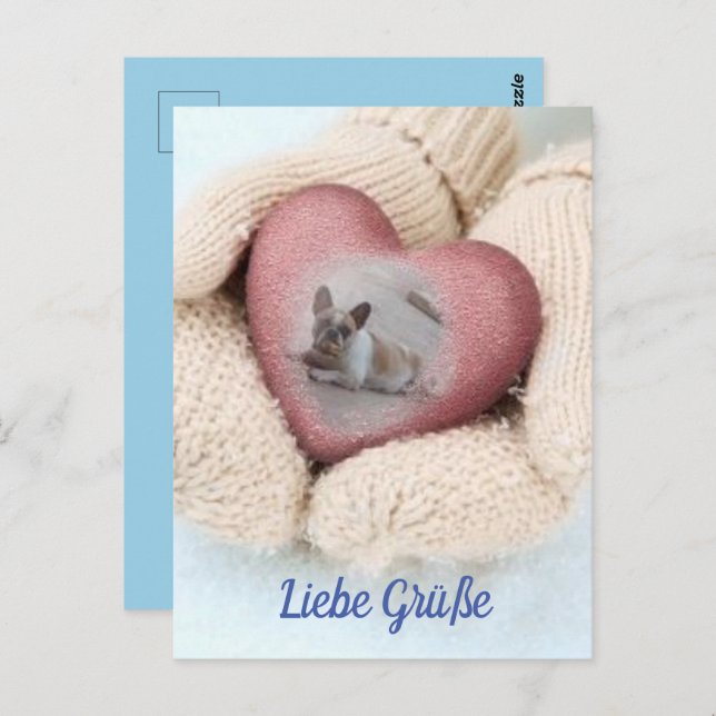 postcard French Bulldoggen (Front/Back)