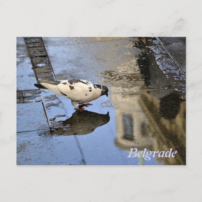 Postcard from Belgrade (Front)