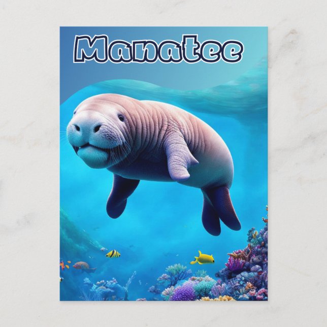 Postcard from Florida, Cute Manatee in deep Ocean (Front)