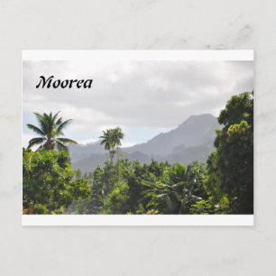 Postcard from Moorea, French Polynesia