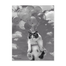 Postcard: Funny cat flying with Balloons