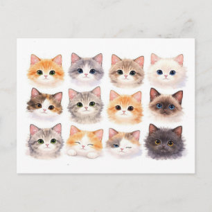 Postcard. Funny kittens Postcard