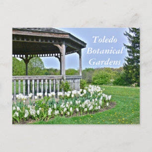 POSTCARD, "GAZEBO AND WHITE TULIPS"/TOLEDO BOTANIC POSTCARD