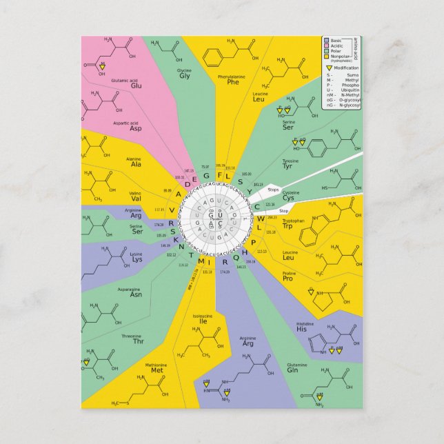 Postcard GeneticCode amino acids codons (Front)