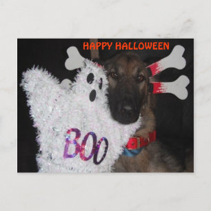 Postcard German Shepherd Halloween Boo