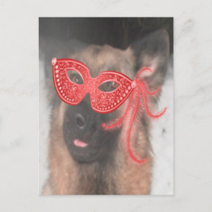 Postcard German Shepherd Mardi Gras Mask Red