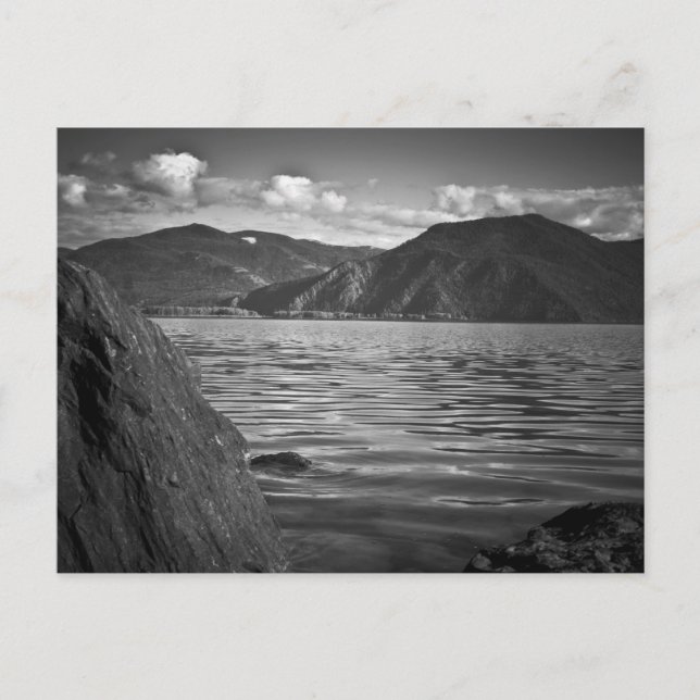 POSTCARD ~ Green Monarchs Along Lake Pend Oreille (Front)