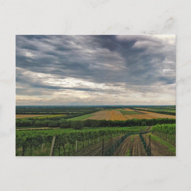 Postcard "Griffin" (Front)