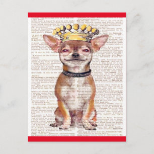 POSTCARD - HAPPY CHIHUAHUA-RED TRIM