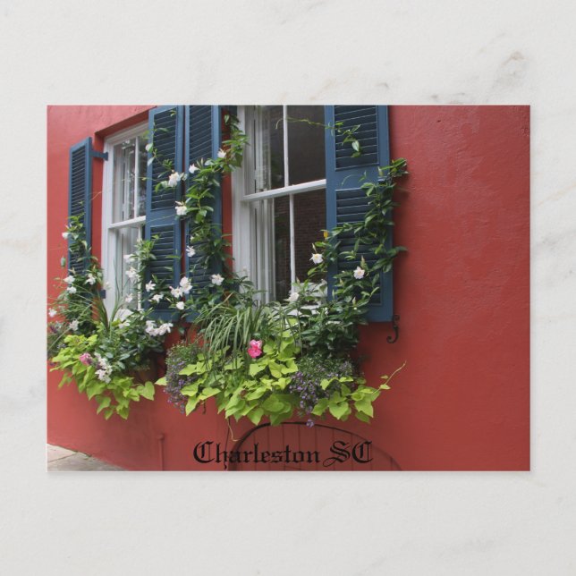 Postcard, Hi def photography Charleston SC Postcard (Front)