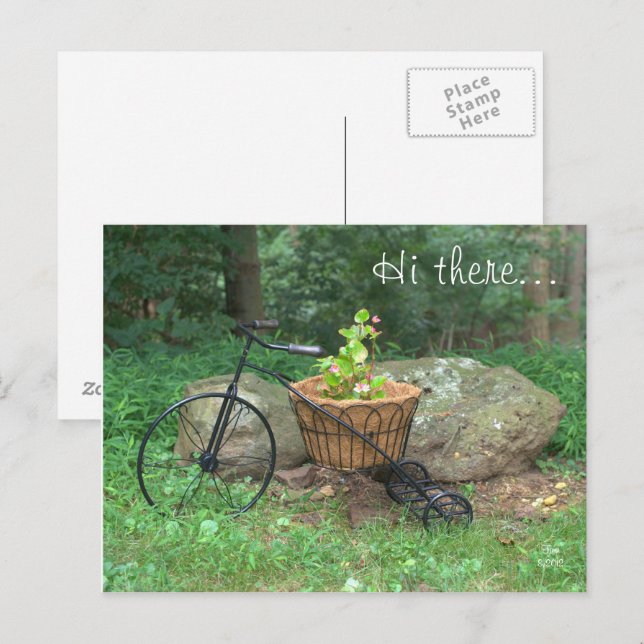 Postcard Hi There.. Bicycle Pink Flowers in Basket (Front/Back)