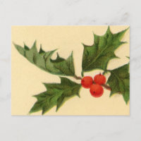 Postcard: Holly Sprig