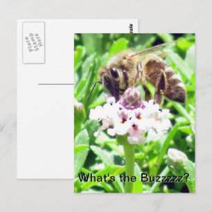 Postcard - Honeybee profile