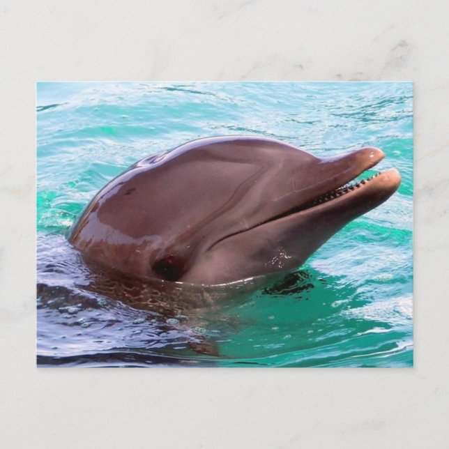 Postcard Horizontal Template - Customised (Front)