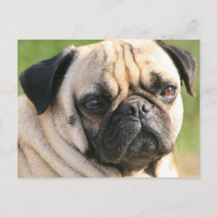 Postcard Horizontal Template - Customised