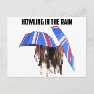 Postcard Howling In The Rain