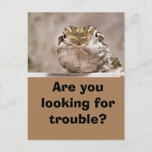 Postcard Humor Echse schaut herausfordernd hervor