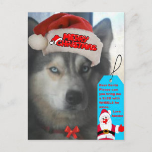 Postcard Husky Christmas Wish To Santa