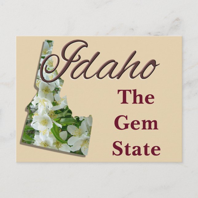 Postcard - IDAHO (Front)