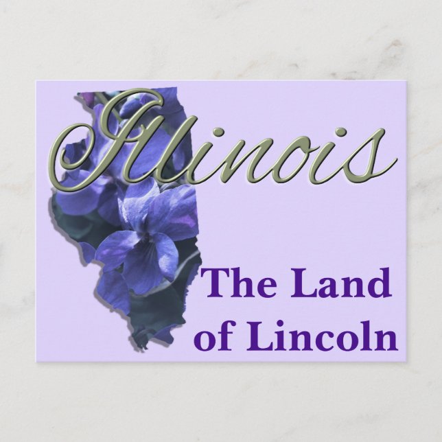 Postcard - ILLINOIS (Front)