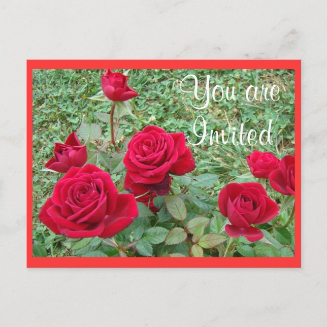 Postcard Invitation or Announcement-customise (Front)