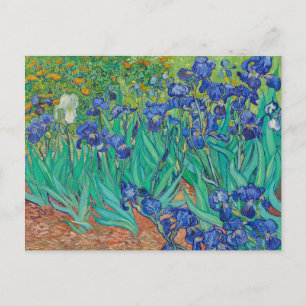 POSTCARD "IRISES 1889" BY VINCENT Van Gogh