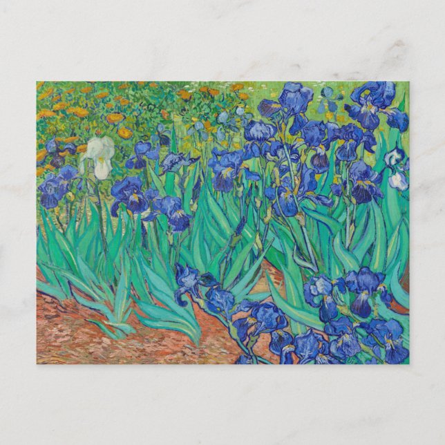 POSTCARD "IRISES 1889" BY VINCENT Van Gogh (Front)