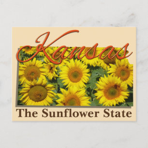 Postcard - KANSAS