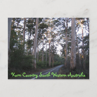 POSTCARD - Karri Country South Western Australia