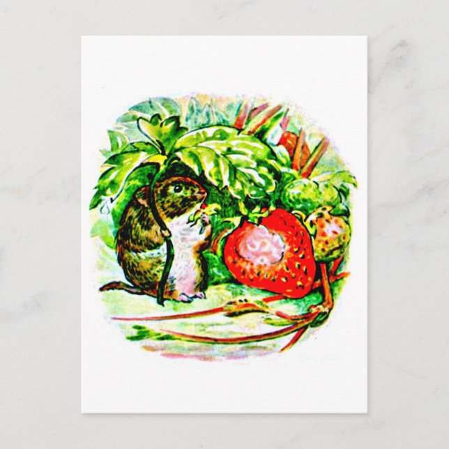 Postcard-Kids Art-Beatrix Potter 13 Postcard (Front)