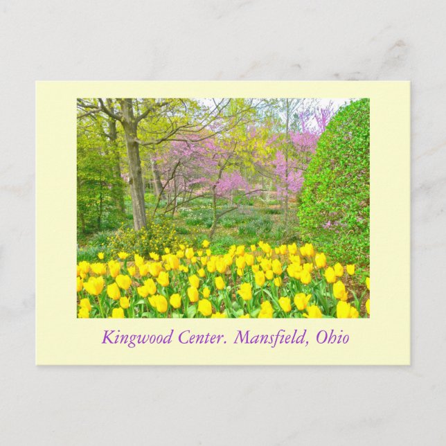 POSTCARD,  "KINGWOOD CENTER GARDENS" POSTCARD (Front)