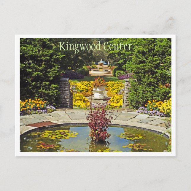 POSTCARD, "KINGWOOD GARDENS/ SEA OF GOLD"/MARIGOLD POSTCARD (Front)
