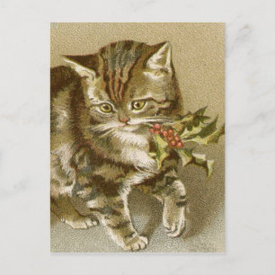 Postcard: Kitty with Holly Sprig Postcard