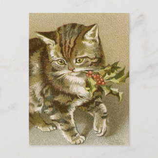 Postcard:  Kitty with Holly Sprig Postcard