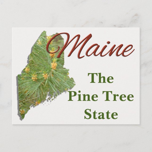 Postcard - MAINE (Front)