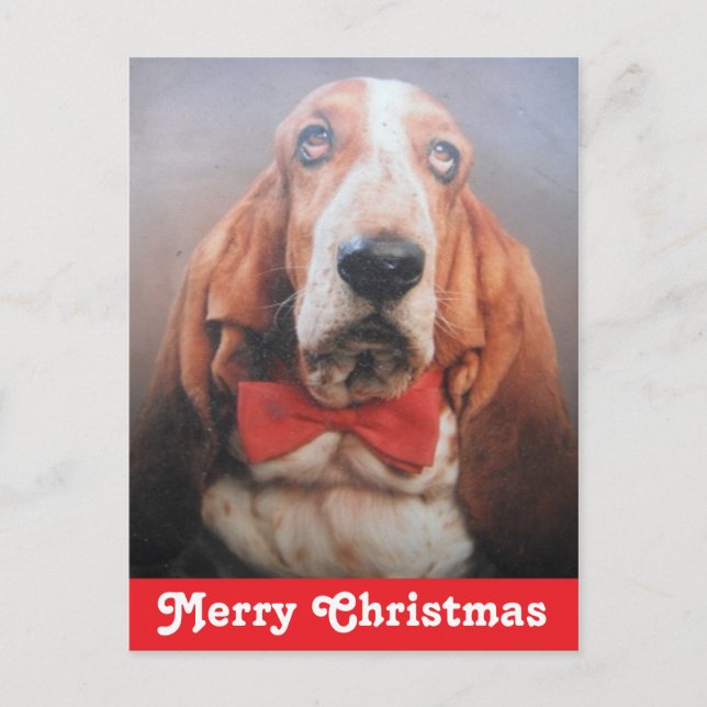 Postcard Merry Christmas Basset Hound (Front)
