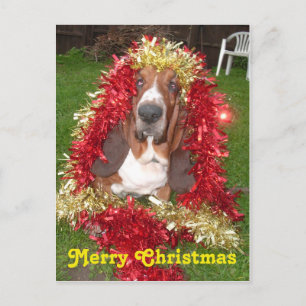 Postcard Merry Christmas Basset Hound In Garland