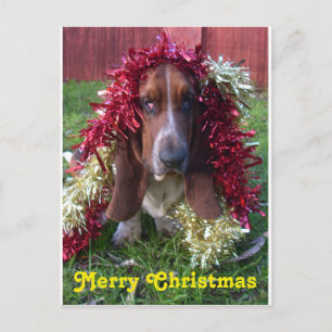 Postcard Merry Christmas Basset Hound In Garland