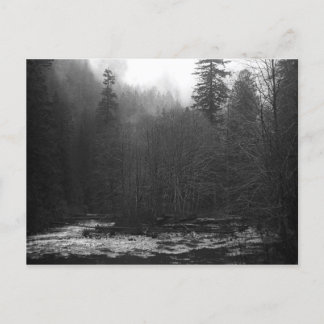Postcard - Misty Salmon River, Oregon