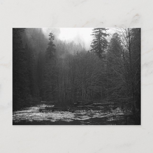 Postcard - Misty Salmon River, Oregon (Front)