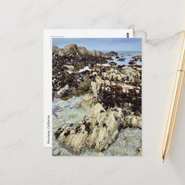 Postcard - Monterey, California (Front/Back In Situ)
