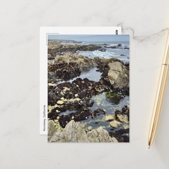 Postcard - Monterey, California (Front/Back In Situ)