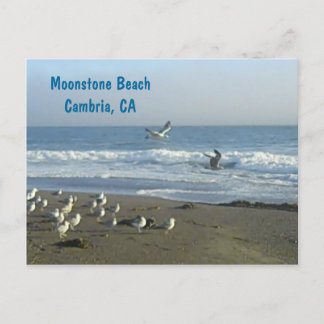 Postcard: Moonstone Beach, Cambria, C Postcard
