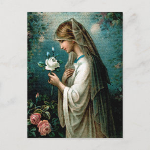 Postcard: Mystical Rose Postcard