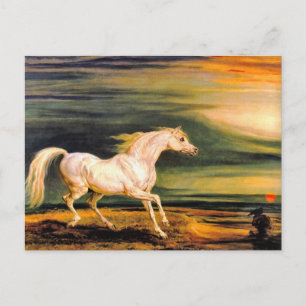Postcard: Napoleon's Marengo Postcard