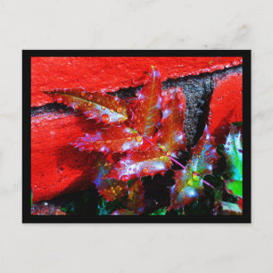Postcard-Nature-Art of Rain 32 Postcard