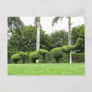 Postcard Nature Green Elephants Garden Sculptures
