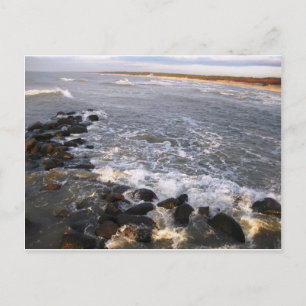 Postcard "Nature. Lithuania, Palanga"