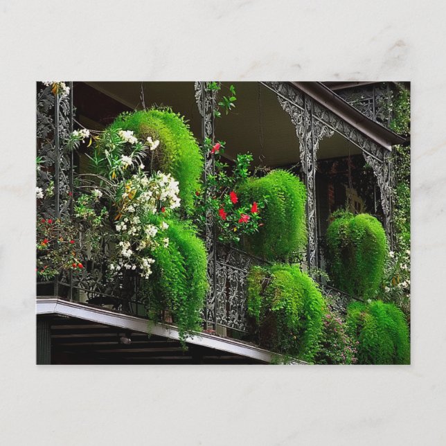 Postcard New Orleans - French Quarter USA (Front)