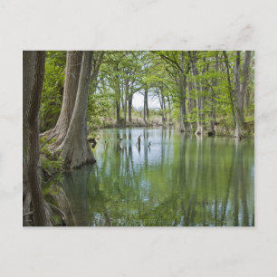 Postcard - "Oasis"